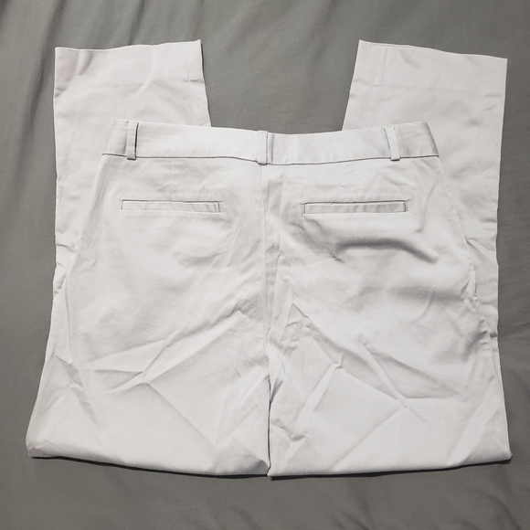 Banana republic Hampton pants size 10 - Picture 2 of 7